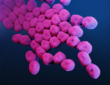Bekjemping av Acinetobacter baumannii: Purell som en del av løsningen