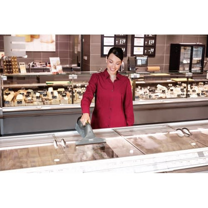 Vindusvasker Kärcher WVP 10