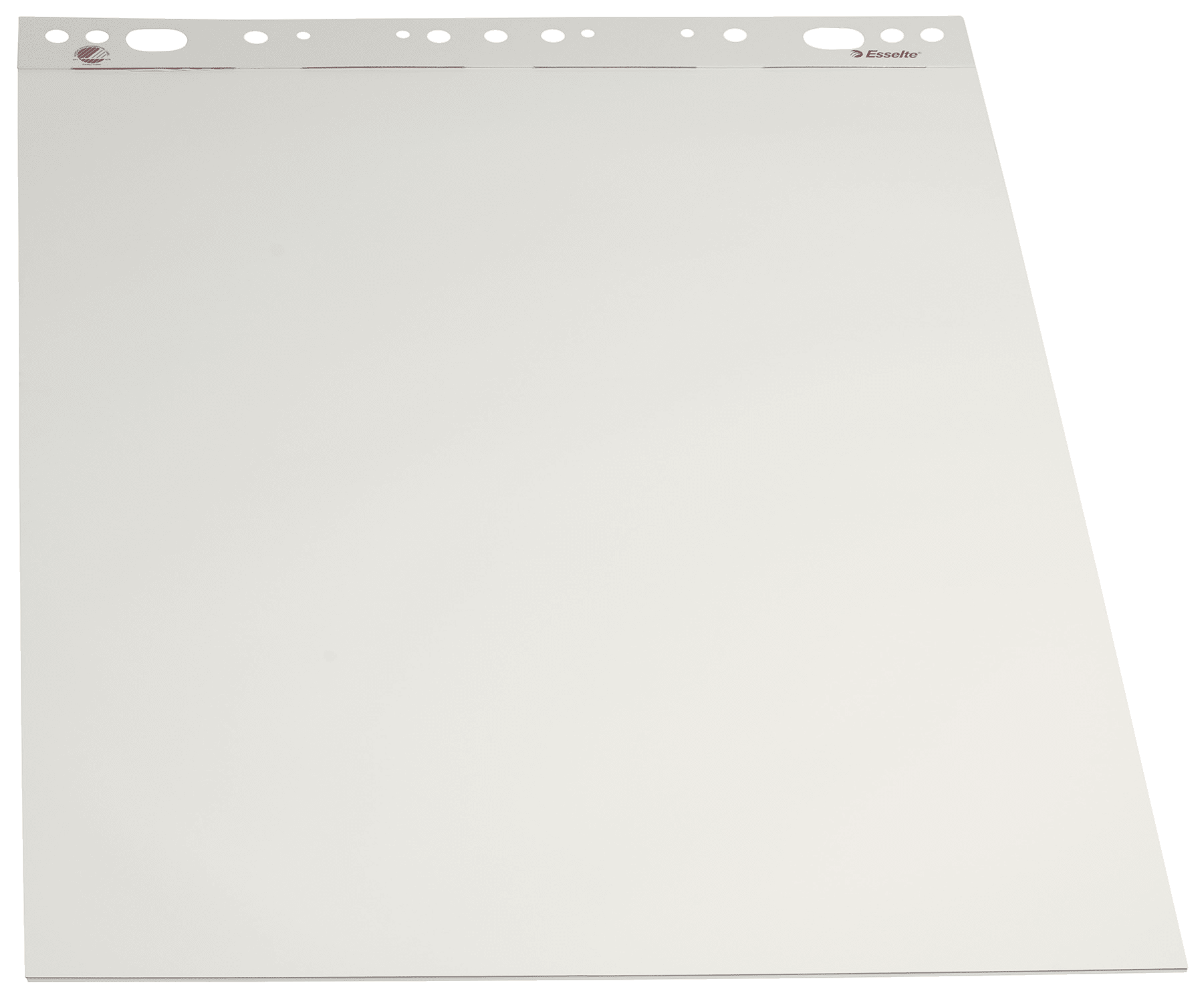Flippoverblokk Esselte 59x80cm 70g/50ark