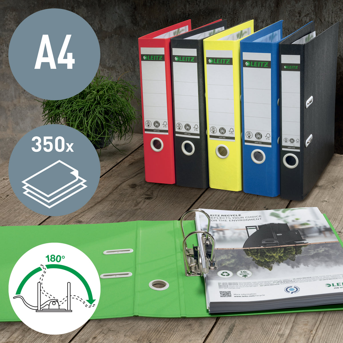 Smalordner Leitz Recycle A4 50mm Blå