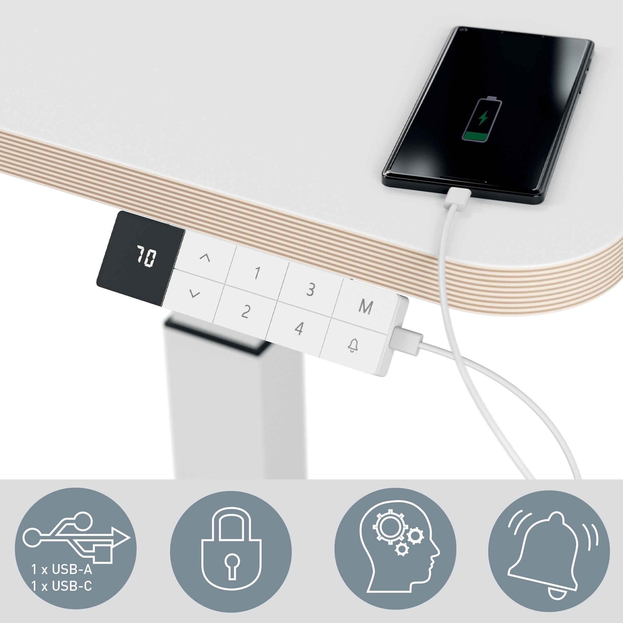 Sit Standing Desk Leitz Small Electric