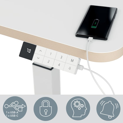 Sit Standing Desk Leitz Small Electric