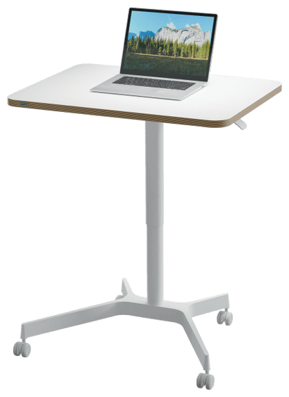 Sit Standing Desk Leitz Small