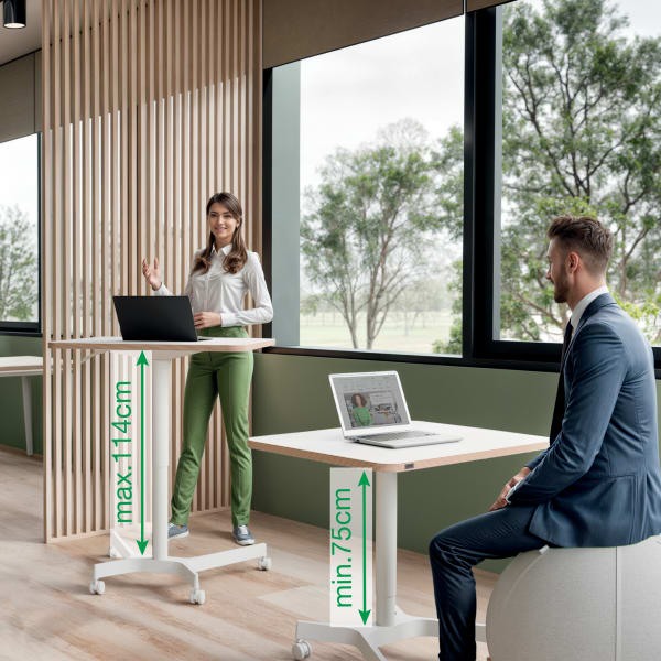 Sit Standing Desk Leitz Small