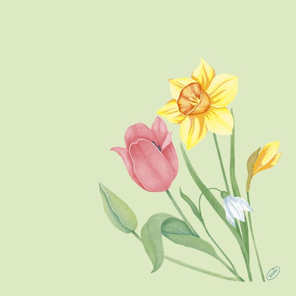 Serv. Dunisoft Bio 40cm Spring Melody