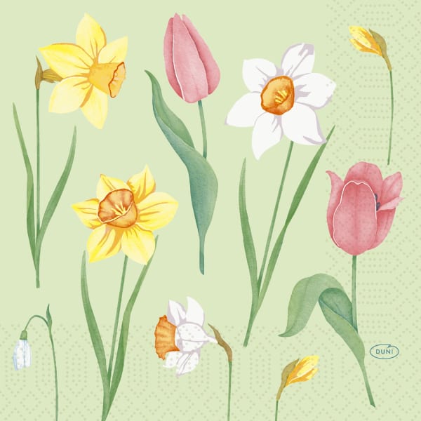 Serv. 3-lag 33cm Spring Melody