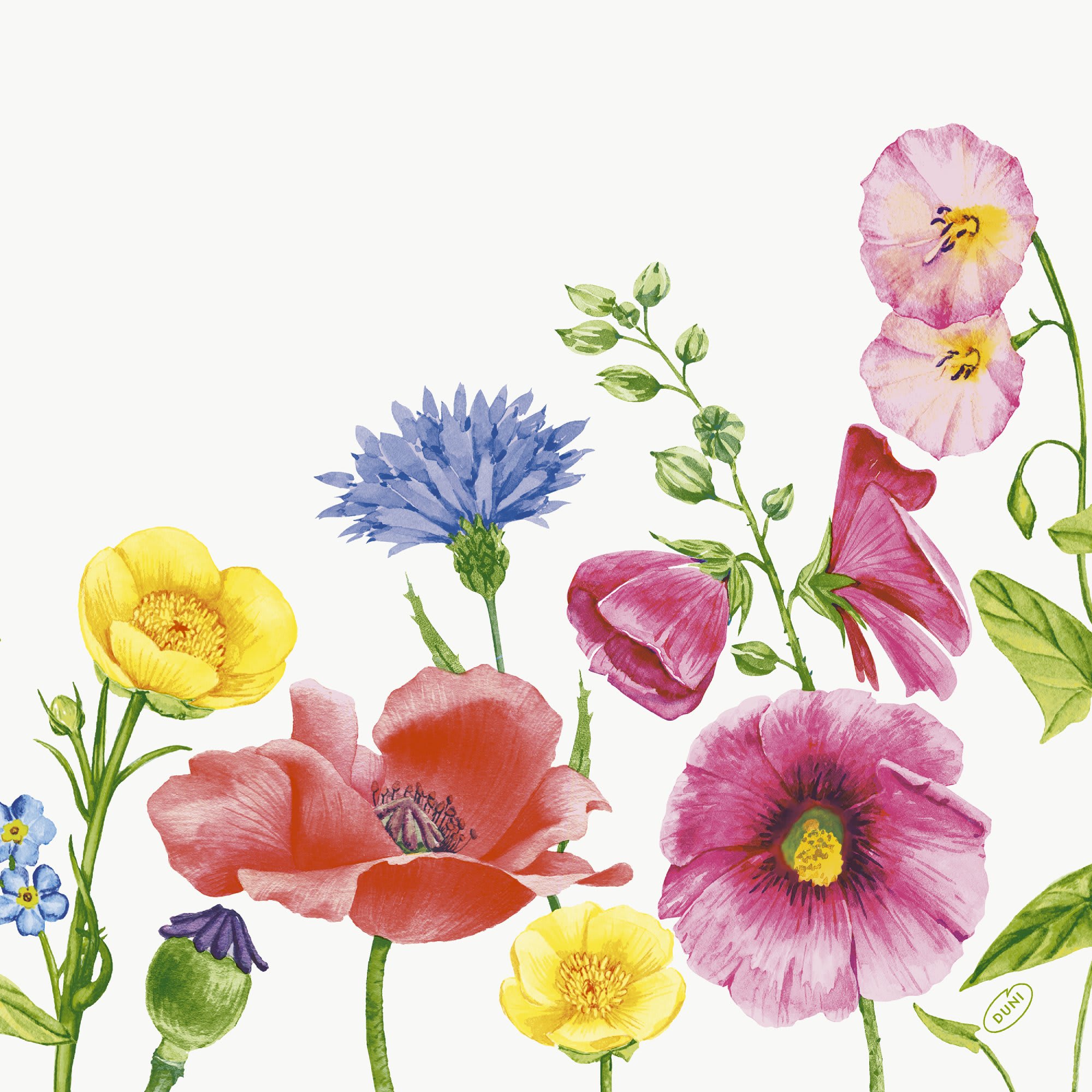 Serv. Dunisoft Bio 40cm Flowy Meadow