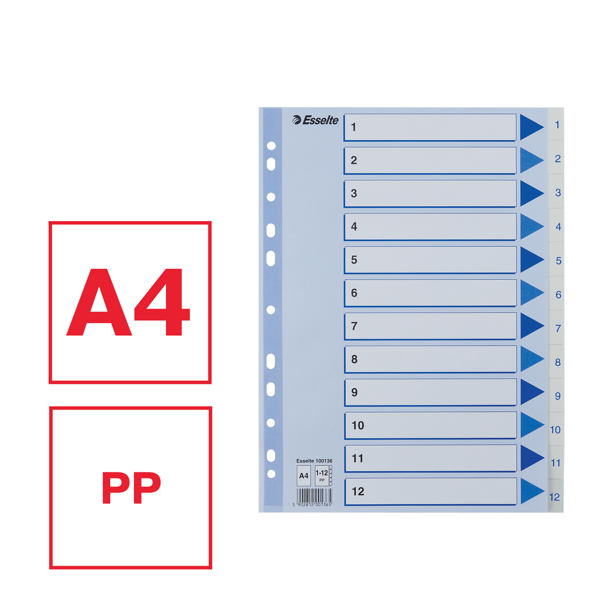 Skillekort PP A4 1-12 hvit
