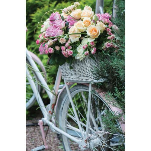 Kort dbl Blossom roser/sykkel